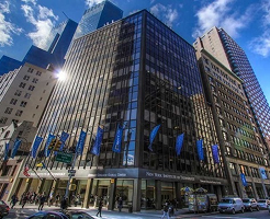 New York Institute of Technology 