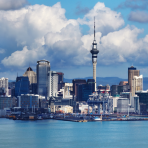 Top 10 Reasons to Choose New Zealand for Your Study Abroad Journey